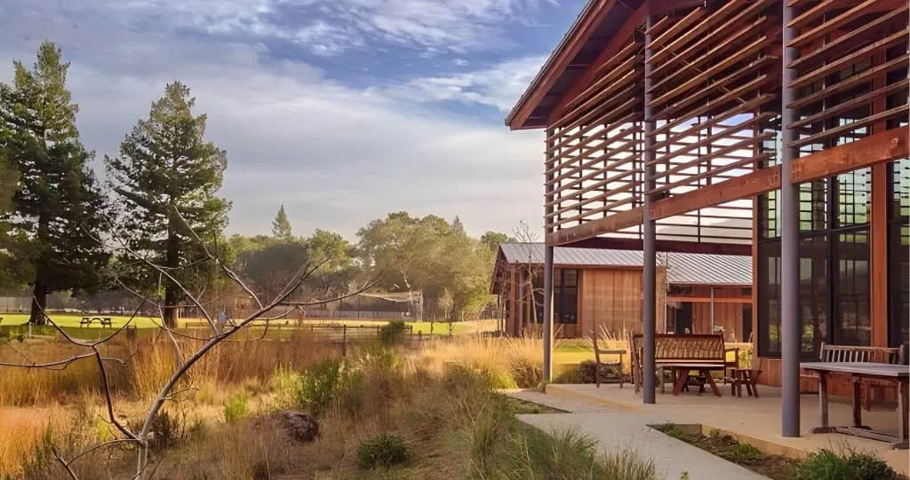 A covered patio, meadow and trees at Portola Valley Town Center.